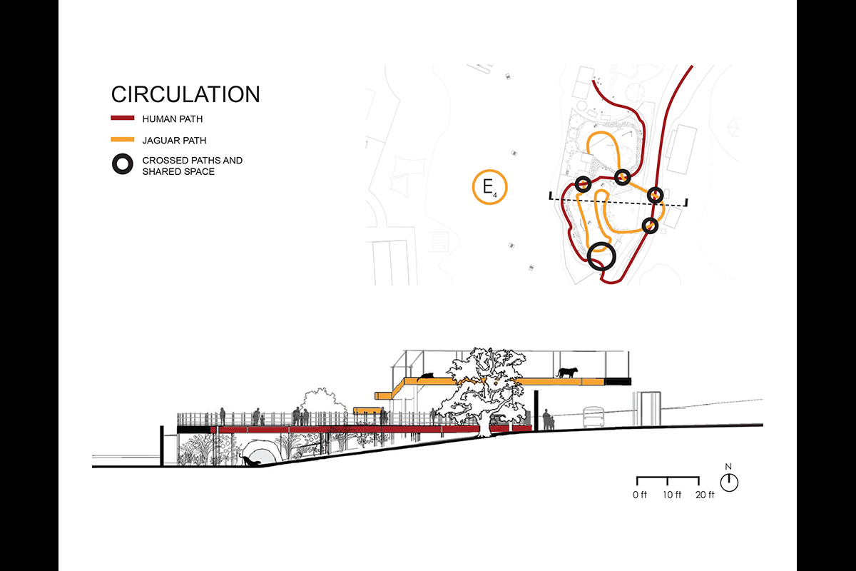 Jaguar Zoo Exhibit 03